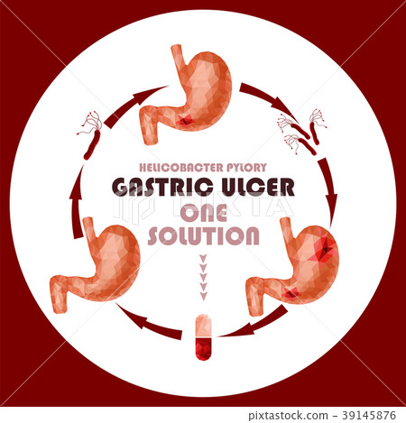 Realistic faceted low poly human stomach   39145876