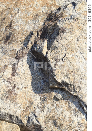 Rough rough skin 39146366