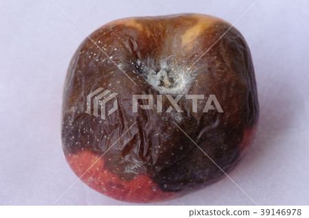 Rotten apple isolated on white background 39146978