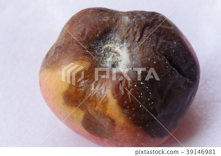 Rotten apple isolated on white background 39146981