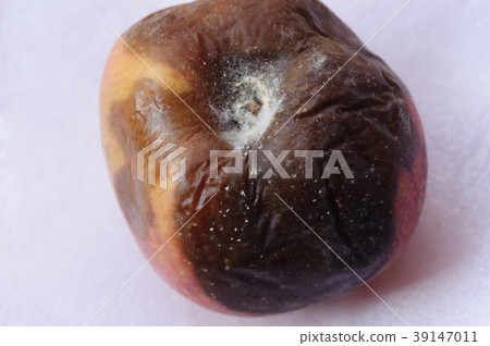 Rotten apple isolated on white background Rotten apple isolated on white background 39147011