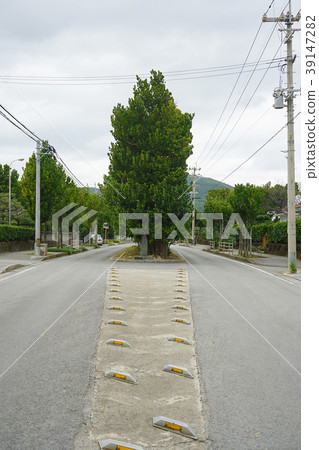 Kumejima, Okinawa Prefecture 39147282