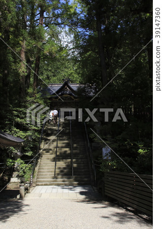 At the treasure climbing shrine 39147360