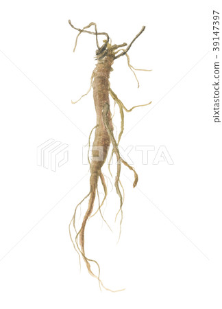 Licorice root of licorice Licorice root of licorice 39147397