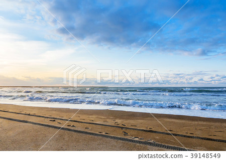 Afternoon beach Afternoon beach 39148549