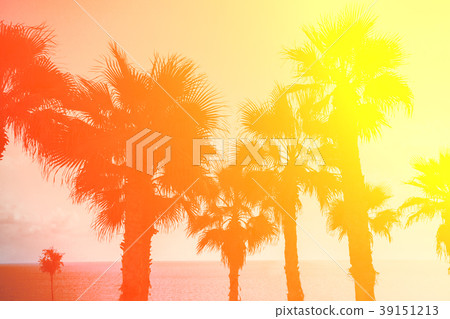 Magic sunset over a tropical beach 39151213