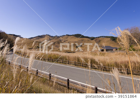 Toho Plateau Autumn Tourism Season (Kanzaki-gun Kamikawa-cho, Hyogo Prefecture) 39151864