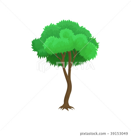 Tree with green leaves and rounded crown vector Tree with green leaves and rounded crown vector 39153049