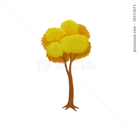 Yellow autumn tree vector Illustration on a white 39153071