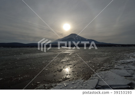 Four seasons of Fuji Five Lakes Four seasons of Fuji Five Lakes 39153193