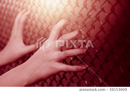 Closeup child girl hand holding steel cage fence Closeup child girl hand holding steel cage fence 39153609