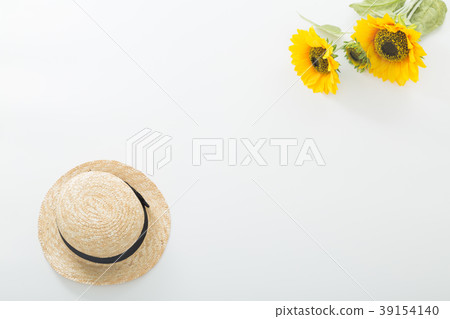 sunflower sunflower 39154140