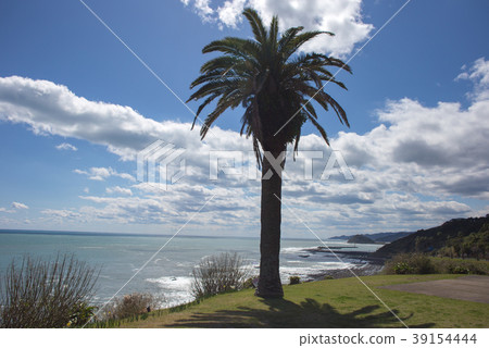 Horikiri Pass Nichinan Coast 39154444