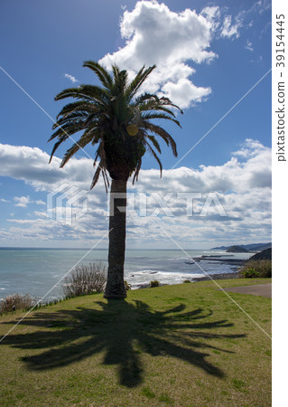 Horikiri Pass Nichinan Coast 2 39154445