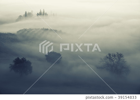 Drowned in the fog 39154833