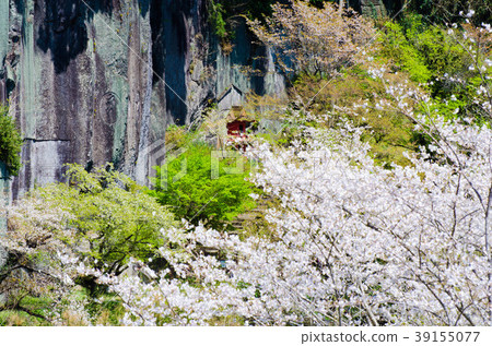 Cliffs of Iwaya Park 39155077
