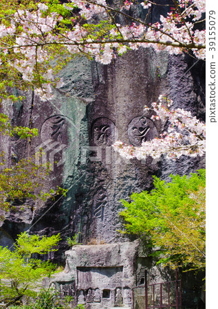 Iwaya公園的懸崖 39155079