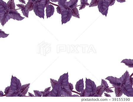 Illustration of Basil. Decor of liane. 39155390