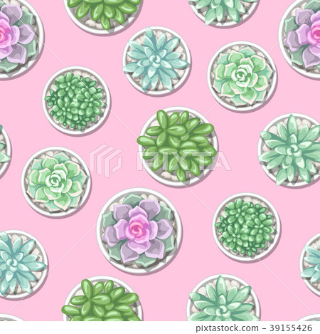 Seamless pattern with succulents. Echeveria, Jade 39155426