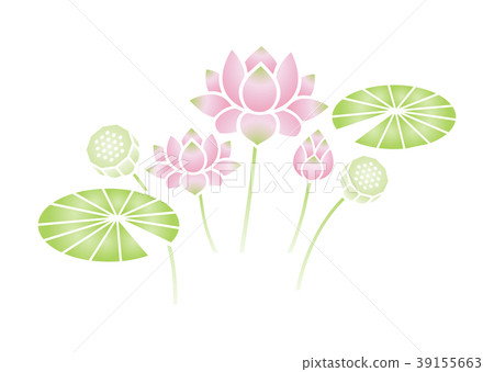 Lotus flower  39155663