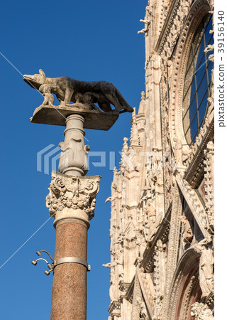 Lupa Senese - Symbol of Siena - Italy Lupa Senese - Symbol of Siena - Italy 39156140