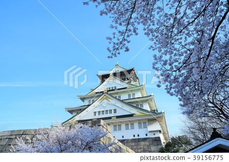 Osaka Castle and Sakura 39156775