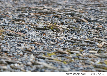 Cobble 39157232