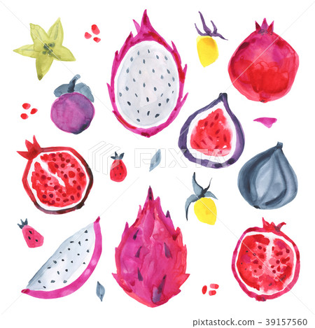 Watercolor exotic fruit. Hand drawn illustration 39157560