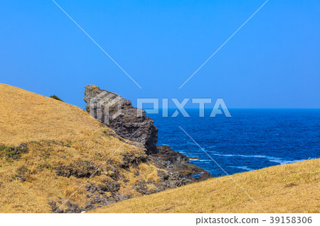 Ikishima Island Makizaki Park Smile Gorilla Rock [長崎縣贊岐市] 39158306