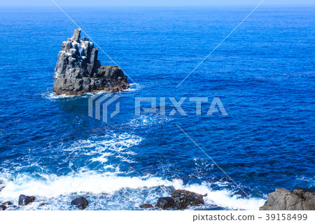 Sanuki Island Sakyo-no-Shin [Iki City, Nagasaki Prefecture] 39158499