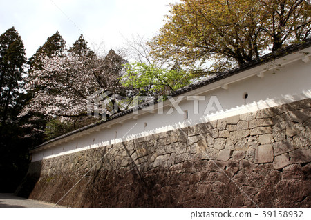 宮崎Koushiro城堡鎮有風都市風景 宮崎Koushiro城堡鎮有風都市風景 39158932