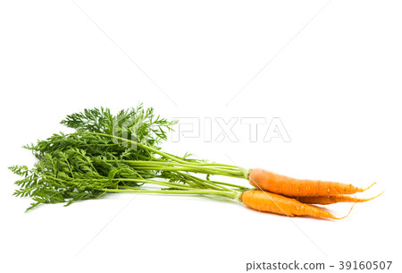 carrots with leaves isolated 39160507