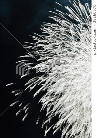 自然設計煙花的背景材料·酷白色銀冠菊花的發射煙花·垂直位置 自然設計煙花的背景材料·酷白色銀冠菊花的發射煙花·垂直位置 39160570