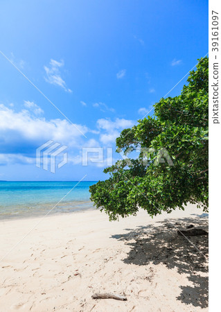 Yarahama Hatoma Island hatomaisland八重山八重山群島 Yarahama Hatoma Island hatomaisland八重山八重山群島 39161097