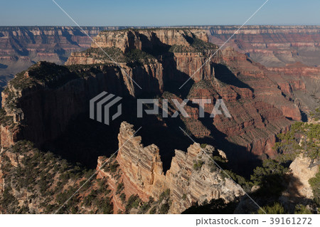 North Rim Grand Canyon Landscape North Rim Grand Canyon Landscape 39161272