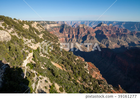North Rim Grand Canyon Landscape North Rim Grand Canyon Landscape 39161277