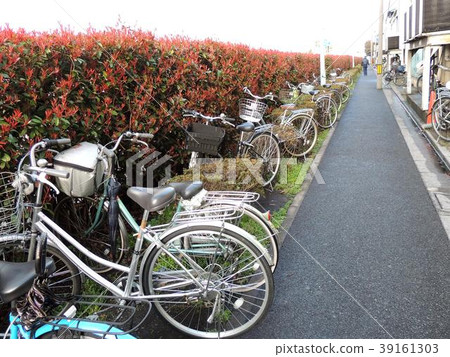 在邊路籬芭的自行車騎馬 在邊路籬芭的自行車騎馬 39161303