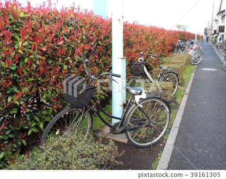 在邊路籬芭的自行車騎馬 在邊路籬芭的自行車騎馬 39161305