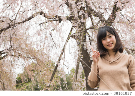 櫻花公園和女人 櫻花公園和女人 39161937