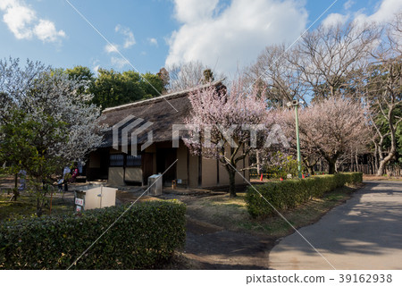 江戶東京花園農舍 江戶東京花園農舍 39162938