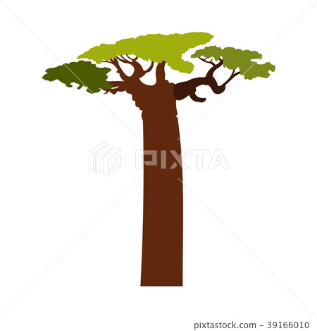 Baobab tree icon, flat style 39166010