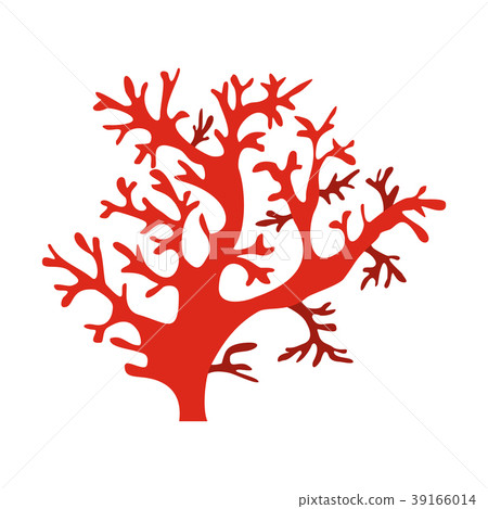 The Australian Brachychiton acerifolius icon The Australian Brachychiton acerifolius icon 39166014