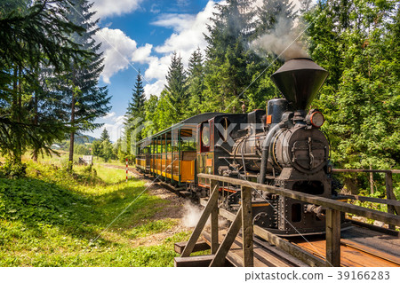 Steam locomotive in forest railways. 39166283