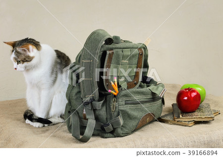 Cat And Backpack Cat And Backpack 39166894