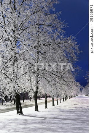 Winter Alley Winter Alley 39166971