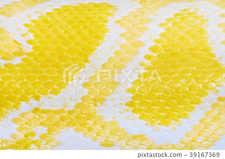 Python Skin Python Skin 39167369