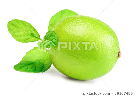 Lime 39167496