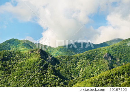 Carpathian Mountains 39167503