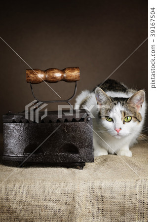 Cat And Iron 39167504