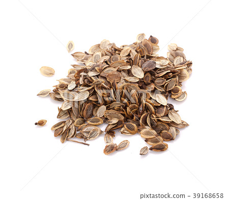 Closeup Dried Ma-khwaen Seeds Closeup Dried Ma-khwaen Seeds 39168658